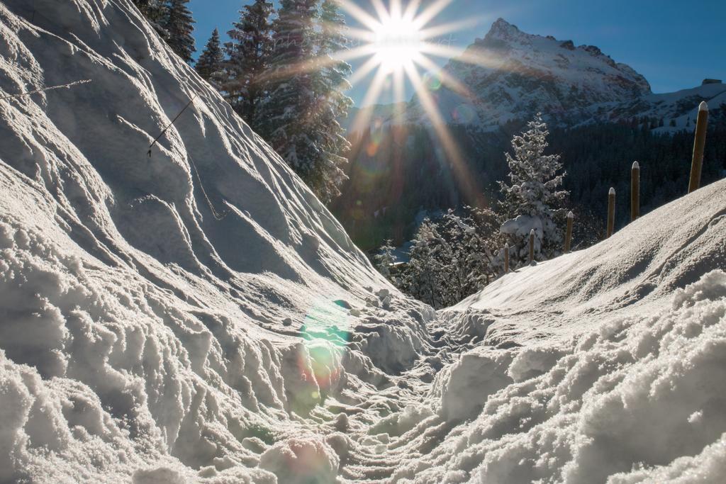 Hotel Bradabella - Montafon ガルゲレン エクステリア 写真
